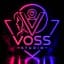 Vosstudio